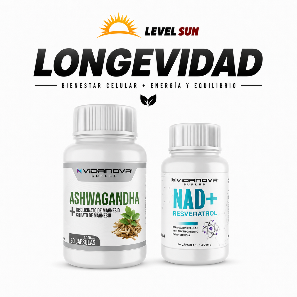 Stack Longevidad